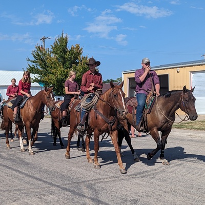 Horses